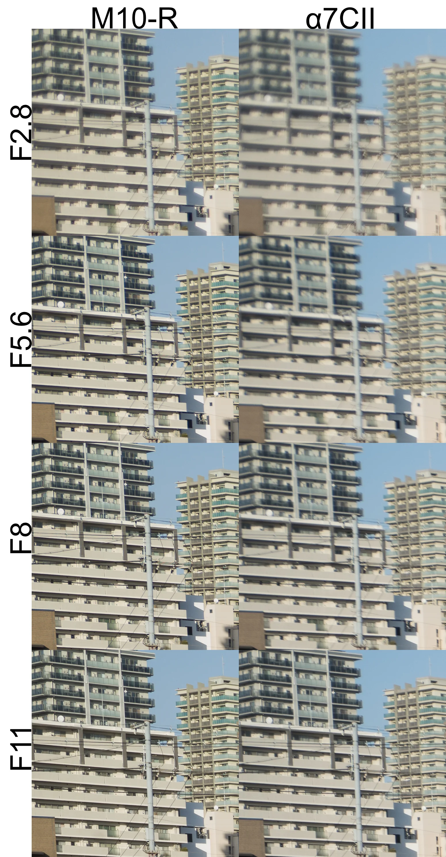 C Biogon T*35mm F2.8 ZM