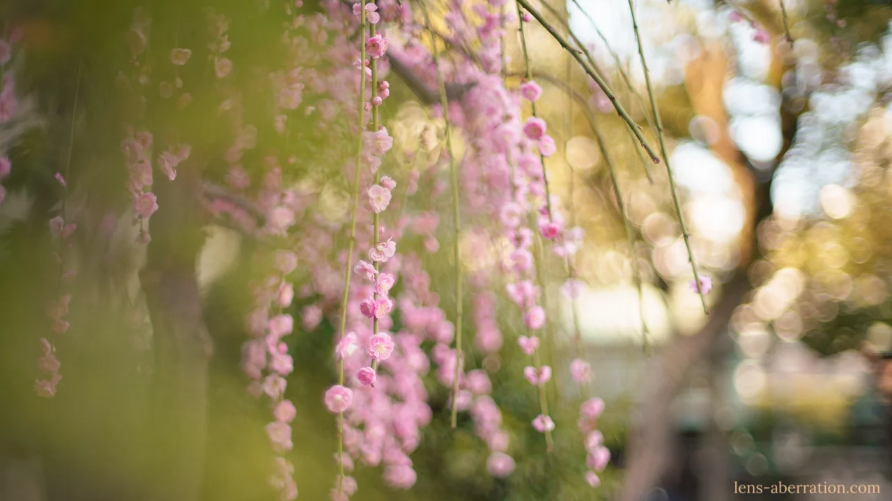 KONICA HEXANON AR 57mm F1.2